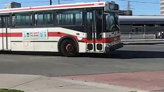 TTC: New Flyer D40 action at Islington Station