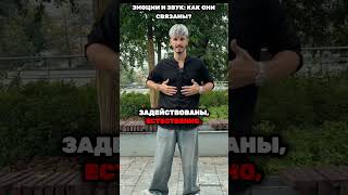 Эмоции и звук  как они связаны #максиммацышин #вокал #музыка