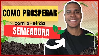 LEI DA SEMEADURA