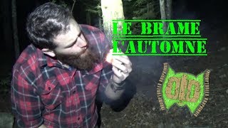 Bivouac Bushcraft Brame et Tranquilité Dans La Forêt