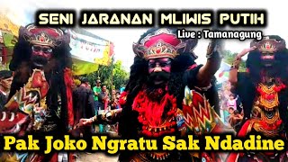 Aksi Seru Pak Joko Kendel, Kece, Dkk di Jaranan Mliwis Putih live Tamanagung