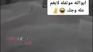 ستوريات انسته