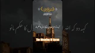 Quran Tilawat Surah Al - Imran Only Urdu Translation  | Beautiful Quran Recitation | #youtubeshorts