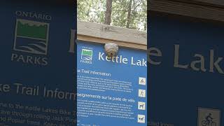 Kettle Lake Hive