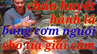 NẤU Ăn Mùa Dịch : Nấu Cháo Huyết ,Hành Lá Bằng Cơm Nguội Cho Tía Ăn Giải Cảm ..Trị Biếng Ăn Cho Tía