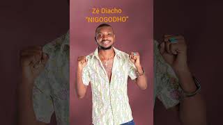 Zé Diacho- Nigogodho (Official audio)