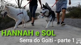 #22 - Mais um Desafio: SUBIR A SERRA DO GOITÍ - parte 1