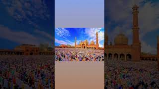 Jama Masjid dehli #shortvideo #muftirehanqasnmbachraun