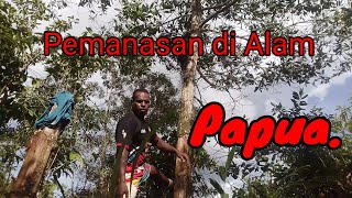 Pelemasan yang benar di hutan papua.