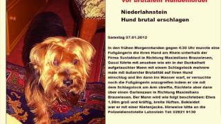 Hund brutal erschlagen - Lahnstein