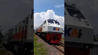 KERETA BASURI TERBARU #shorts #trending #palangpintuperlintasankeretaapiindonesia