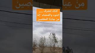 ١٢ ديسمبر، ٢٠٢٤