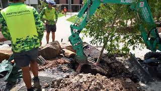 Joyce Wilding Hostel - Progress Update