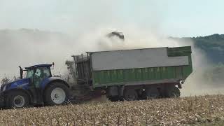 Soja Dreschen im Großen Still im Oktober 2018 mit einen Top Drescher John Deere S790i der Neuersten