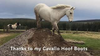 Dream of Climbing Mountains in your Cavallos?