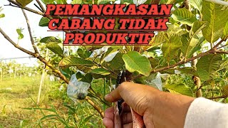 PEMANGKASAN CABANG TIDAK PRODUKTIF