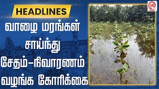 வாழை மரங்கள் சாய்ந்து சேதம்-நிவாரணம் வழங்க கோரிக்கை | Banana Tree | Damage | Rain