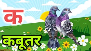 क से कबूतर वाला गाना || ka se kabutar kha se khargosh ||