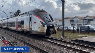 12/2022 - Petite Matinée de Spot en Gare de Marcheprime (33)