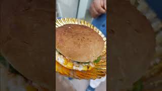 Cheapest Double chesse sandwich & cheess pizza #shortvideo #minivlog #short #pizzalover #cheesslover