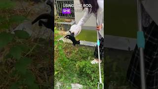 Brave Girl Rescues Drowning Puppies - Heartwarming Animal Rescue #shorts