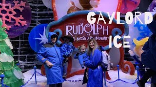 Gaylord Ice|Fun Day