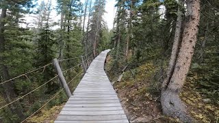 Trestle Bike Park - Jury Duty