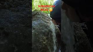 FORNOCAL #sierradeguara #guara #fornocal #canyoning #barrancos