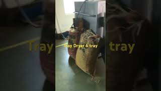 Tray dryer 6 to 24 tray , for inquiry, 8800226166 #machine #autoclave #packingequipment