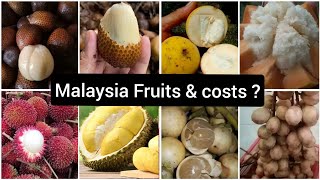 Fruits Shopping || Different Types of Fruits || With cost in Malaysia