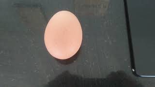 The egg.@