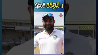 షమీకి డెడ్‌లైన్..! #mohammedshami #indvsaus #bordergavaskartrophy #cricket #abnsports