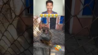 laughing is prohibited 😂😂 part 9 | #shorts #shortvideo