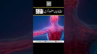 Strengthen Your Bones | اپنی ہڈیاں مضبوط کریں | apanee haddiyon ko majaboot karen | Urdu Hindi