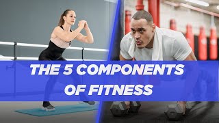 The 5 Components Of Fitness