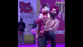 PETFED Bengaluru 2024, Day 1, part 5 - Pets got talent @PetFedIndia #dogs #petfed #pets #doglover