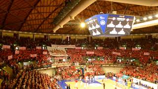 Trieste-Casale gara 1 la coreografia della curva nord