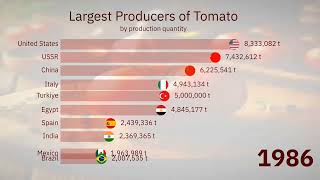 Top Tomato Producing Countries in the World 1961-2022