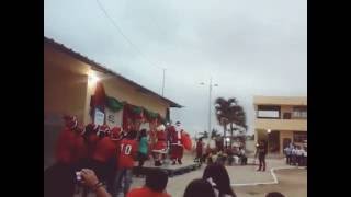 Colegio cisnero prendida del árbol de Navidad