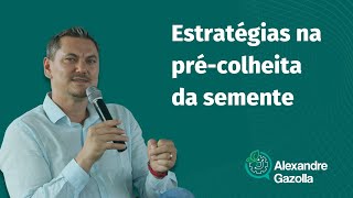 Alexandre Gazolla | Estratégias na pré-colheita da semente