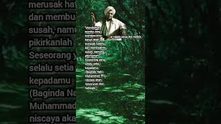 Al Habib Umar Bin Hafidz