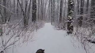 Winter Snow Finnally and Ghosts in the Suburban