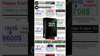 Forex Hedge Scalper EA 1420+ MT4 Automated Forex Robot FREE DOWNLOAD الاكسبرت الأكثر ربحا في الفوركس