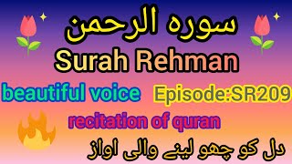 Surah rehman heart touching tilawat |beautiful quran recitation | dil ko cho lene wala qirat | Ep209