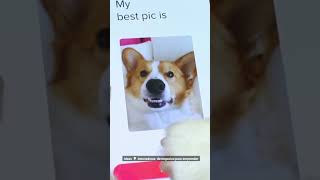 🔥🐕🐩♥️🔥Tinder 🔥Perruno😜🐕♥️🔥#short #shorts