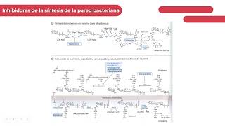 Generalidades de ATB