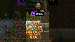 JAK DOGADUJE SIĘ NOWY TEAM HUNT?  #tibia #twitch #shorts