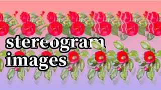 3D stereogram flower pictures, magic eye images, parallel view