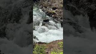 Sol Duc Salmon Cacades. Fresh, cold mountain stream