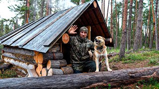 ПОРВАЛ КАРАКАТ В БОЛОТЕ. МЕДВЕДЬ-БОБРОЛОВ. РЫБАЛКА НА РЕЧКЕ. ОСЕННИЙ ХАРИУС.